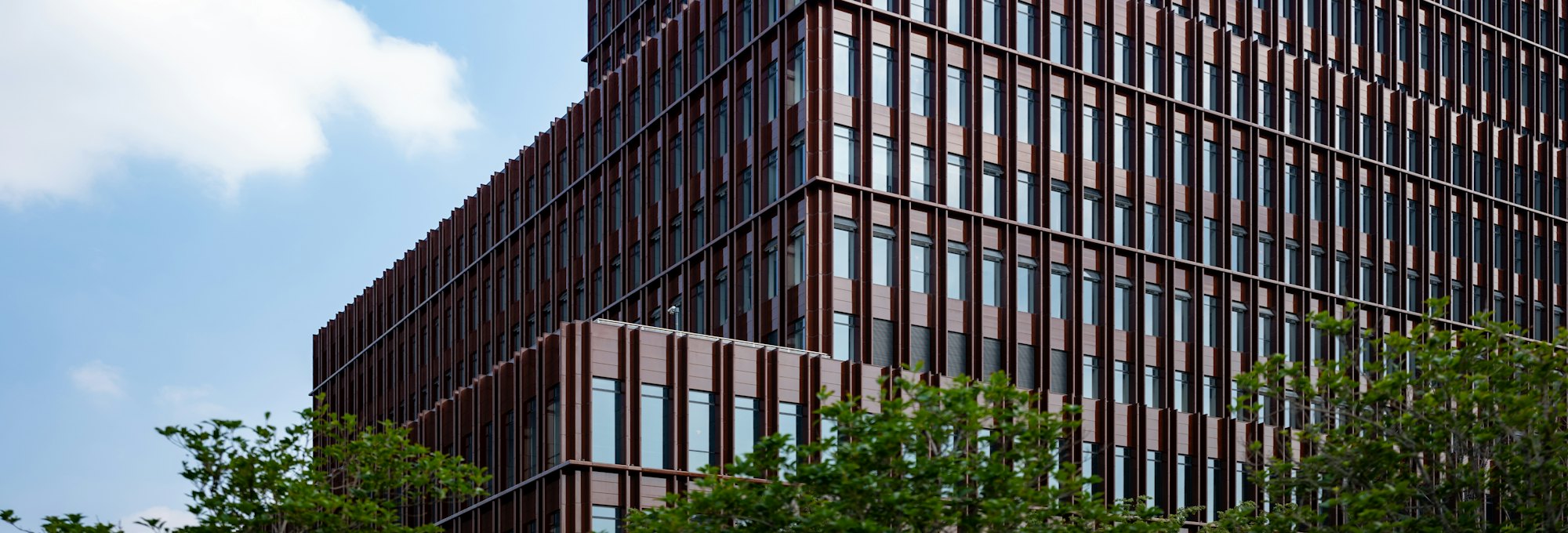 Repeating window rhythm on a modern office tower
