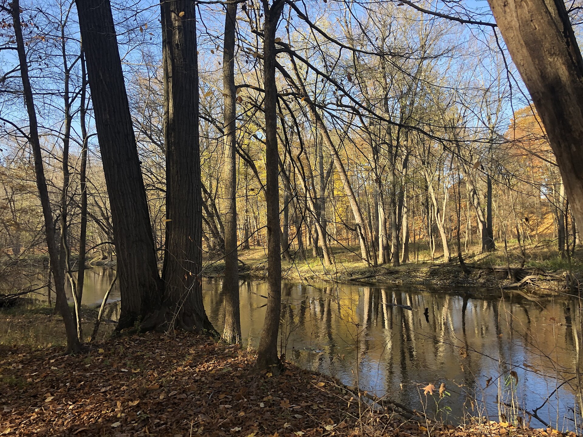 Okemos, Michigan, in Meridian Charter Township east of Lansing — CFH Insurance Consultants group health insurance and employee benefits consulting for Okemos employers